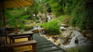 Forest falls Garden Maerim Chiangmai ตาดปลาแคมป์ออร์แกนิคฟาร์มสเตย์เชียงใหม่