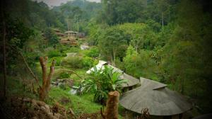 Forest falls Garden Maerim Chiangmai ตาดปลาแคมป์ออร์แกนิคฟาร์มสเตย์เชียงใหม่