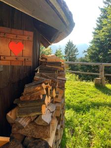 Velika planina - Chalet Stane - Alps 