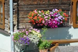 Selbstversorgerhaus Herisch