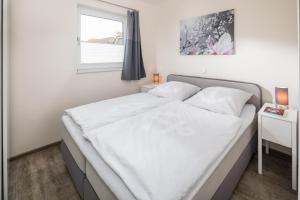 Ferienwohnung Vissers Seehstern