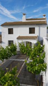 Cortijo Los Liñanes rural con chimenea, barbacoa y vistas
