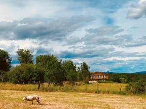 Maisons de vacances Ferme de Jeanleix : photos des chambres