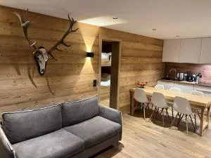 Appartement avec terrasse pour 6 personnes proche pistes à La Clusaz - FR-1-459-199 - 拉格利塔兹