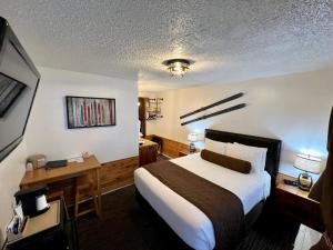 Queen Room room in Shasta Inn