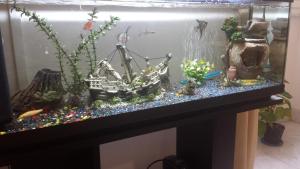 Hotel Due Colonne img31