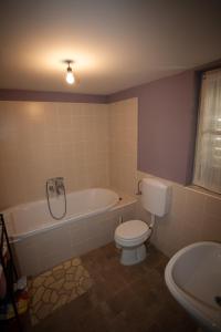 Holiday Home Mihovilovic