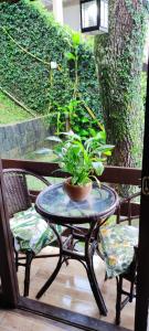 Casa Petrópolis Temporada