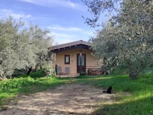 Agriturismo Terra Di Pace