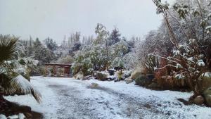 OASIS DEL VALLE DEL ELQUI