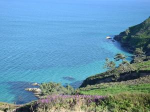 Maisons de vacances Cottage, Crozon : photos des chambres