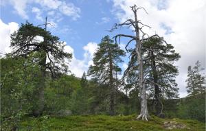 1 Bedroom Amazing Home In Särna