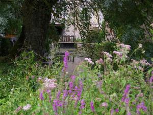 Moulin paisible en Berry avec étang privé, proche du Château de Valençay et Zoo de Beauval - FR-1-591-18
