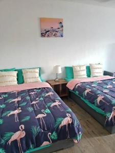 La Conchita de Sisal 1