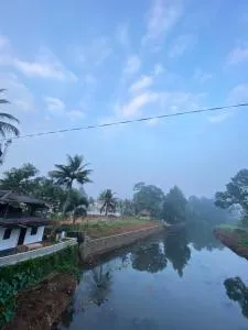Alappattu meadows - Karukachal