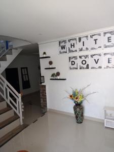 House White Dove