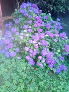 Holiday Home Vesna