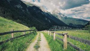 Arlberghaus Rocks