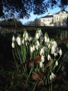 Dunbrody Country House Hotel