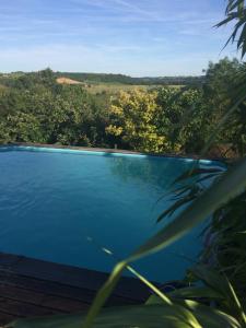 Maisons de vacances Un gite au coeur du vignoble : photos des chambres