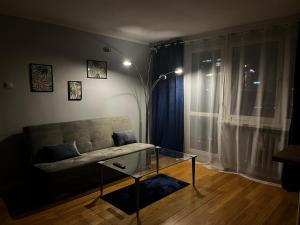 Apartament z widokiem na Spodek