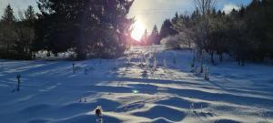 Ski Lake Cottage Krpáčovo