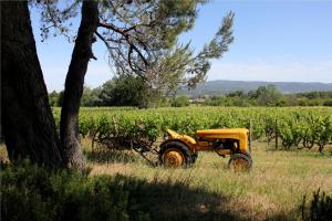 Domaine Faverot photo 15