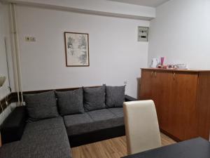 One-Bedroom Family Apartment room in Hotel Duga