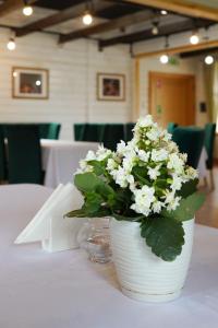 Hotelik z możliwością śniadania "KUR" Myszyniec-Kurpie