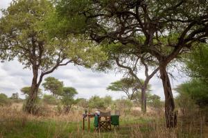 Baobab Tented Camp, Tarangire