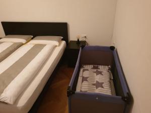 Appartamento del CONTE a Merano, con piscina e posto auto, leggere attentamente le info o chiamare direttamente lhost!