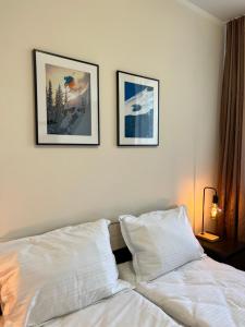 Арборо Боровец Гардънс Д35