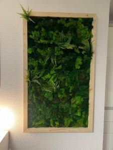 Appartement Bergwaerts