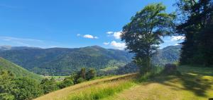 Appartements Studio , Spa , nature et foret au coeur des Vosges : photos des chambres