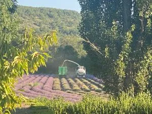 Gîte Le Tramontane Meublé de tourisme 4 étoiles Le Moulin de Prédelles - Saint-Martin-les-Eaux