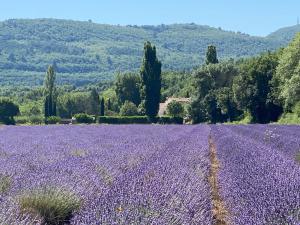 Maisons de vacances Gite Le Tramontane Le Moulin de Predelles : photos des chambres