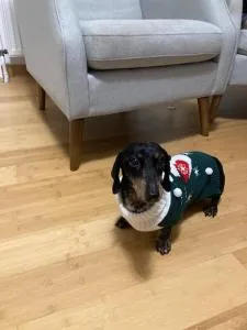 Aparthotel City 5 - Praga