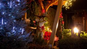 Garden Apartments Janša