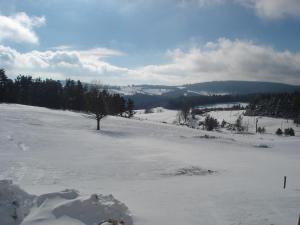 Hotels Auberge des Myrtilles : photos des chambres