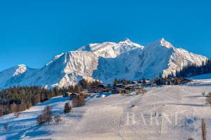 Appartements Apartments in Chalet Nessa : photos des chambres