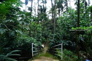 Mourya Homestay - 2BH, Estate, Balcony