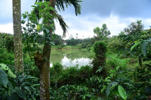 Mourya Homestay - 2BH, Estate, Balcony