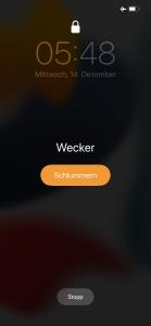 Schöne Wohnung mit dem Garten