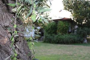 Patroudis House - 4hvězdičkové hotely ve městě Skala Rachoniou