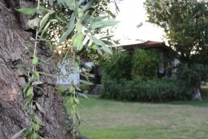 Patroudis House - Skala Rachoniou