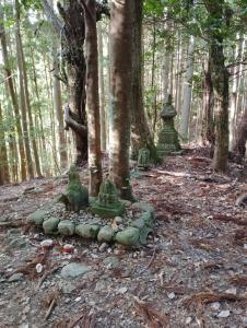 Kumano Kodo Nagano Guesthouse