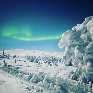 Levi center, cozy and convenient apartment with sauna