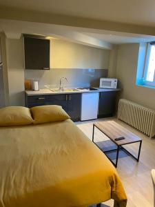 Appartements Cambrai:exceptionnel studio : photos des chambres