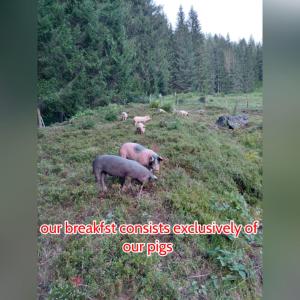 Pension Chalet Bergseegut