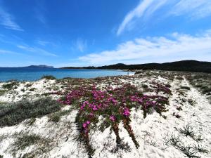 Olbia Seaview Loft img11